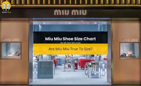 size chart miu miu|miu michael prada.